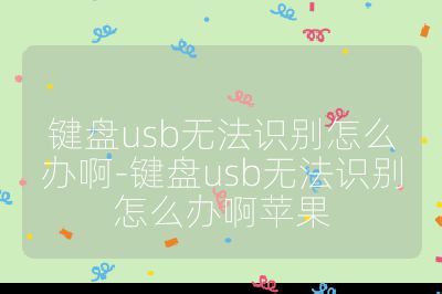鍵盤usb無法識別怎么辦啊-鍵盤usb無法識別怎么辦啊蘋果