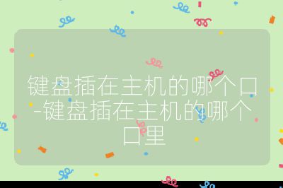 鍵盤插在主機的哪個口-鍵盤插在主機的哪個口里