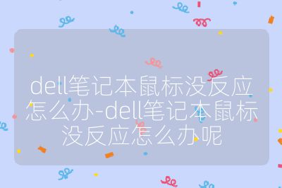 dell筆記本鼠標(biāo)沒反應(yīng)怎么辦-dell筆記本鼠標(biāo)沒反應(yīng)怎么辦呢