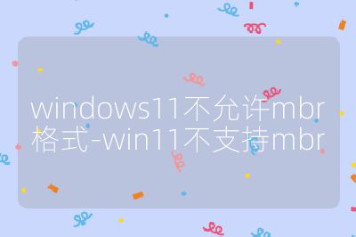 windows11不允許mbr格式-win11不支持mbr
