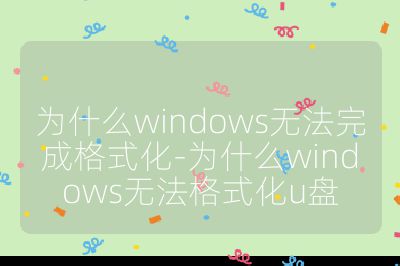 為什么windows無法完成格式化-為什么windows無法格式化u盤