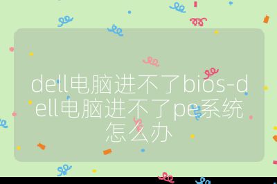 dell電腦進(jìn)不了bios-dell電腦進(jìn)不了pe系統(tǒng)怎么辦
