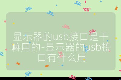 顯示器的usb接口是干嘛用的-顯示器的usb接口有什么用