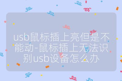 usb鼠標插上亮但是不能動-鼠標插上無法識別usb設備怎么辦