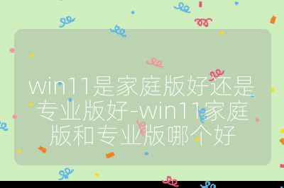 win11是家庭版好還是專業(yè)版好-win11家庭版和專業(yè)版哪個好