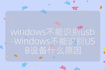 windows不能識別usb-Windows不能識別USB設備什么原因