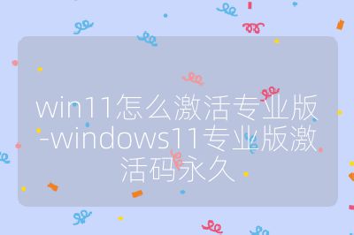 win11怎么激活專(zhuān)業(yè)版-windows11專(zhuān)業(yè)版激活碼永久