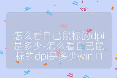 怎么看自己鼠標的dpi是多少-怎么看自己鼠標的dpi是多少win11