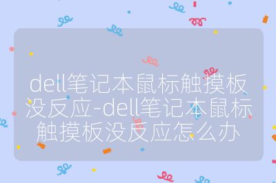 dell筆記本鼠標觸摸板沒反應-dell筆記本鼠標觸摸板沒反應怎么辦