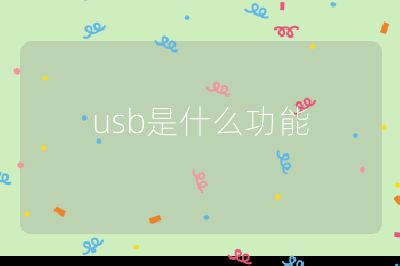 usb是什么功能