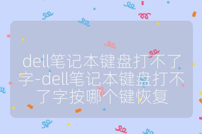 dell筆記本鍵盤打不了字-dell筆記本鍵盤打不了字按哪個鍵恢復