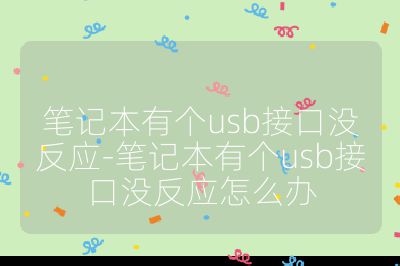 筆記本有個usb接口沒反應-筆記本有個usb接口沒反應怎么辦
