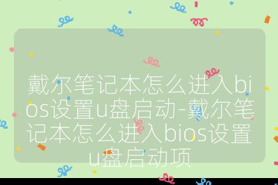 戴爾筆記本怎么進入bios設(shè)置u盤啟動-戴爾筆記本怎么進入bios設(shè)置u盤啟動項