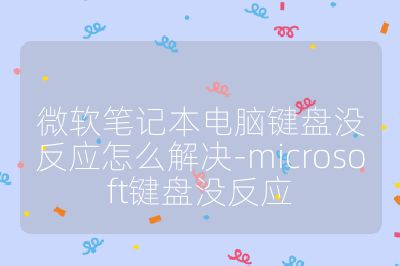 微軟筆記本電腦鍵盤沒反應怎么解決-microsoft鍵盤沒反應