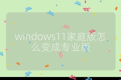 windows11家庭版怎么變成專業(yè)版