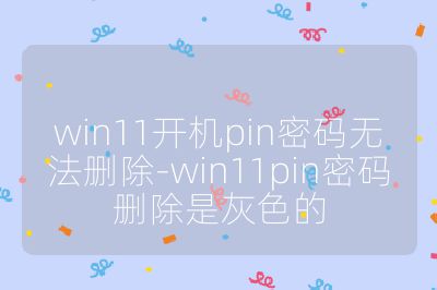 win11開機pin密碼無法刪除-win11pin密碼刪除是灰色的
