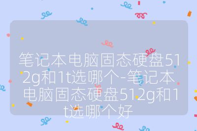 筆記本電腦固態硬盤512g和1t選哪個-筆記本電腦固態硬盤512g和1t選哪個好