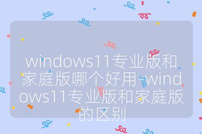 windows11專(zhuān)業(yè)版和家庭版哪個(gè)好用-windows11專(zhuān)業(yè)版和家庭版的區(qū)別