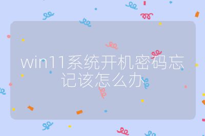 win11系統開機密碼忘記該怎么辦