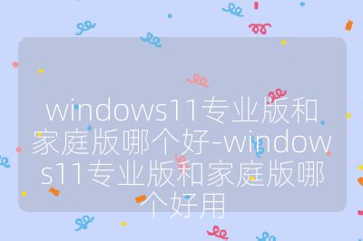 windows11專業版和家庭版哪個好-windows11專業版和家庭版哪個好用