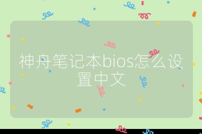 神舟筆記本bios怎么設(shè)置中文