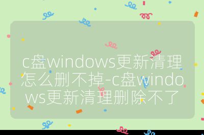 c盤windows更新清理怎么刪不掉-c盤windows更新清理刪除不了