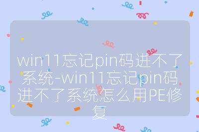 win11忘記pin碼進不了系統-win11忘記pin碼進不了系統怎么用PE修復
