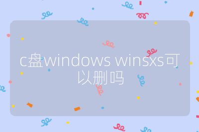 c盤windows winsxs可以刪嗎