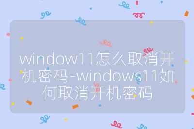 window11怎么取消開機密碼-windows11如何取消開機密碼