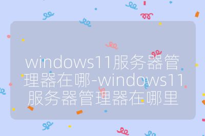 windows11服務(wù)器管理器在哪-windows11服務(wù)器管理器在哪里