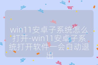 win11安卓子系統怎么打開-win11安卓子系統打開軟件一會自動退出