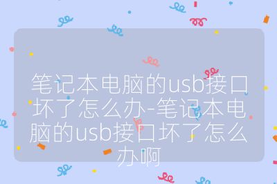 筆記本電腦的usb接口壞了怎么辦-筆記本電腦的usb接口壞了怎么辦啊