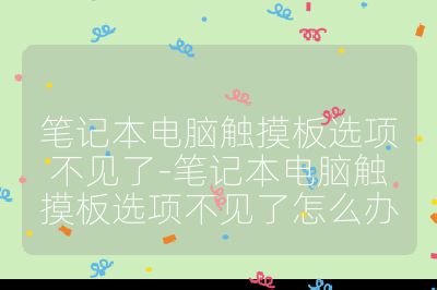 筆記本電腦觸摸板選項(xiàng)不見了-筆記本電腦觸摸板選項(xiàng)不見了怎么辦