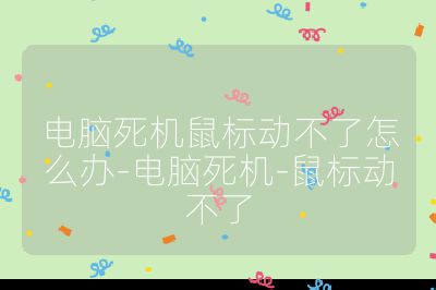 電腦死機鼠標動不了怎么辦-電腦死機-鼠標動不了