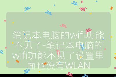 筆記本電腦的wifi功能不見(jiàn)了-筆記本電腦的wifi功能不見(jiàn)了設(shè)置里面也沒(méi)有WLAN
