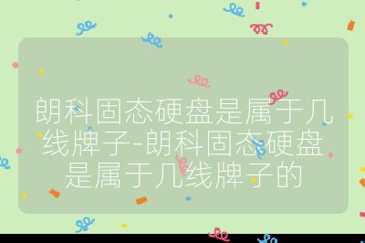 朗科固態硬盤是屬于幾線牌子-朗科固態硬盤是屬于幾線牌子的