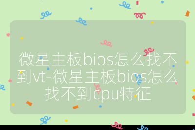 微星主板bios怎么找不到vt-微星主板bios怎么找不到cpu特征