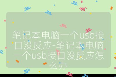 筆記本電腦一個usb接口沒反應-筆記本電腦一個usb接口沒反應怎么辦