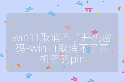 win11取消不了開機密碼-win11取消不了開機密碼pin
