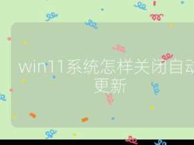 win11系統怎樣關閉自動更新